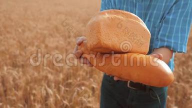 <strong>老农</strong>夫面包师拿着一个金色的面包和面包在麦田对抗蓝天。 慢动作视频。 成功成功成功